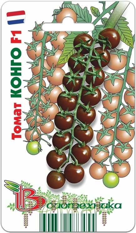 Фото – Томат Конго F1