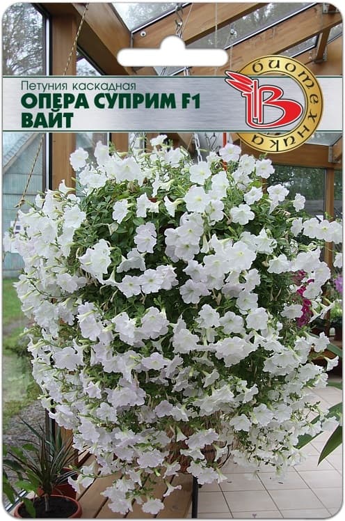 Фото – Петуния каскадная Опера Суприм F1 Вайт