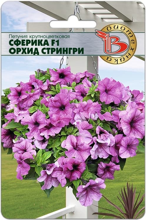 Фото – Петуния крупноцветковая Сферика F1 Орхид Стрингри