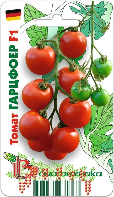 Фото – Томат Гарцфоер F1