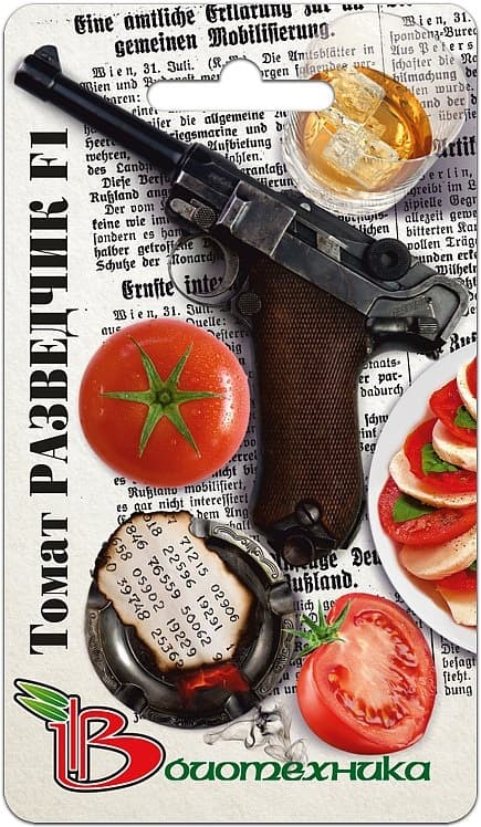 Фото – Томат Разведчик F1