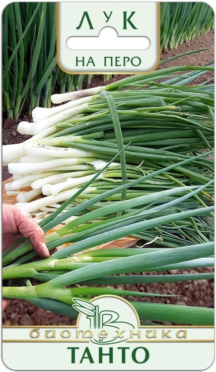 Фото – Лук на перо Танто