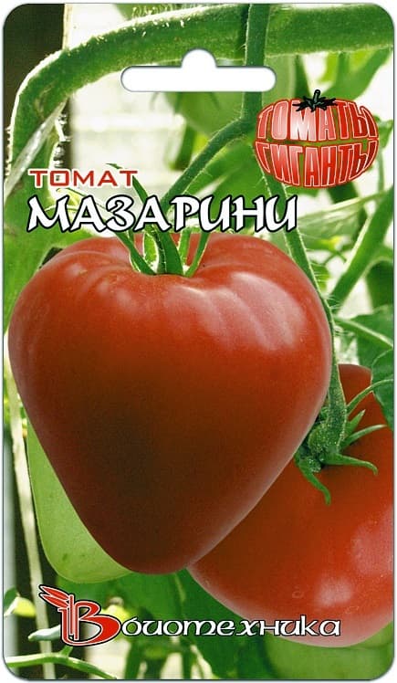 Фото – Томат Мазарини