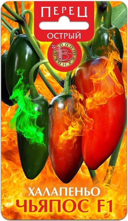 Фото – Перец острый Халапеньо Чьяпос F1