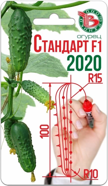Фото – Огурец Стандарт F1 2020