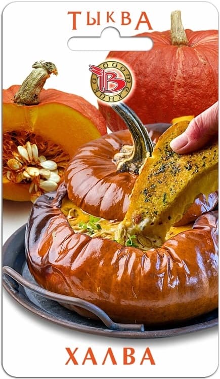 Фото – Тыква Халва
