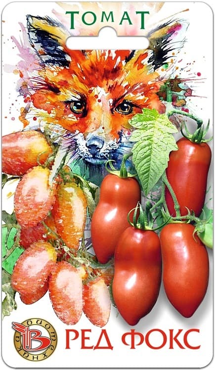 Фото – Томат Ред Фокс