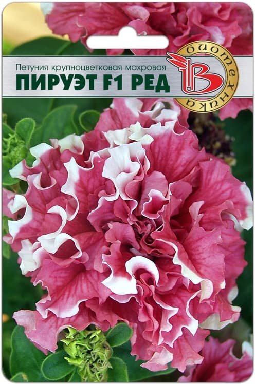 Фото – Петуния крупноцветковая махровая Пируэт F1 Ред