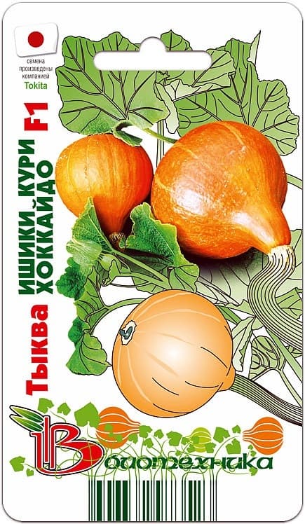 Фото – Тыква Ишики Кури Хоккайдо F1