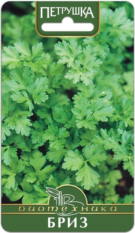 Фото – Петрушка Бриз