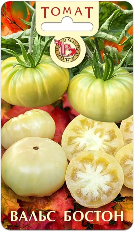 Фото – Томат Вальс Бостон