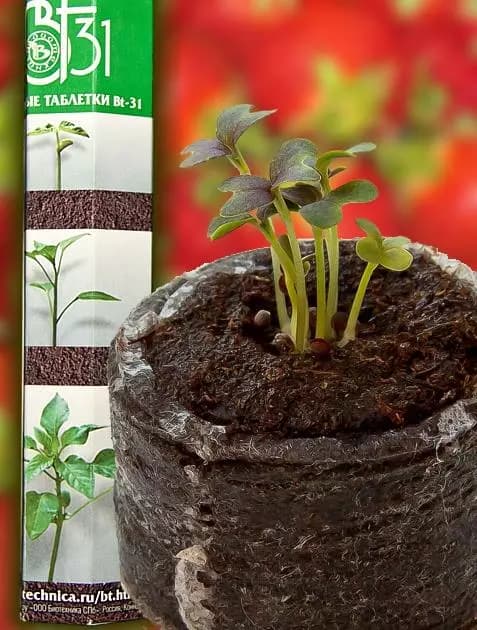 Фото – Торфяные таблетки Bt-31