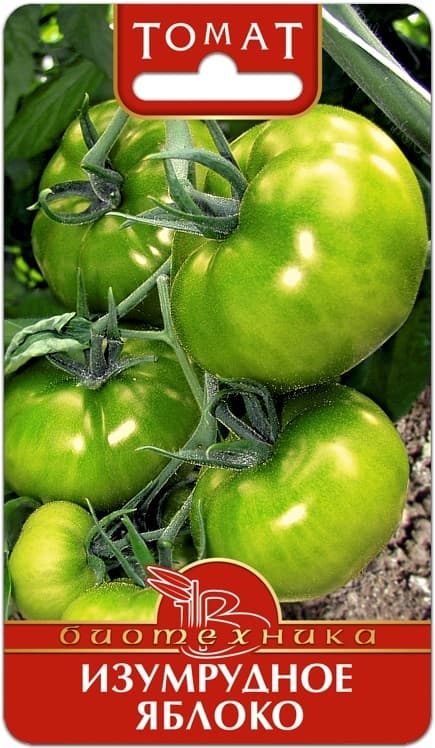 Фото – Томат Изумрудное Яблоко