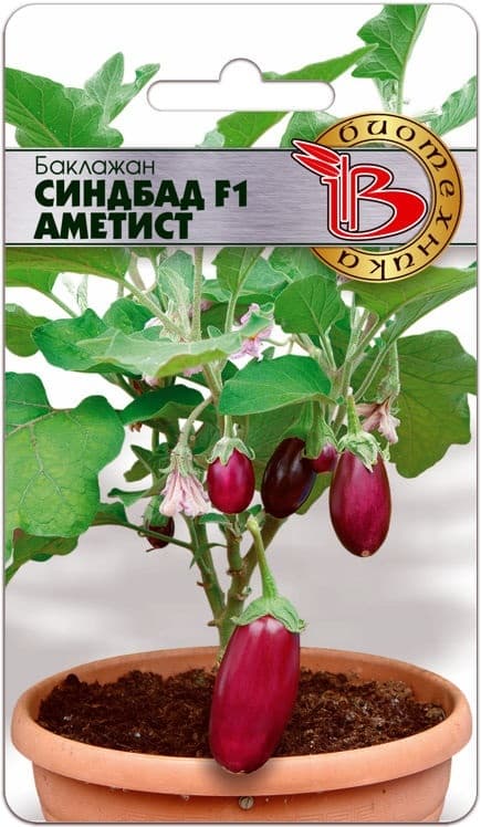 Фото – Баклажан Синдбад F1 Аметист 