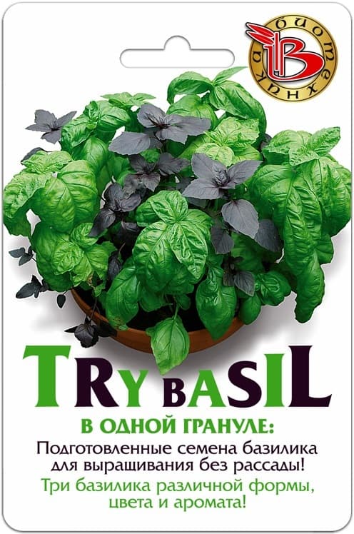 Фото – Базилик Try Bazil БукетАрома