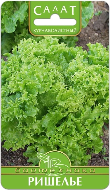 Фото – Салат Ришелье