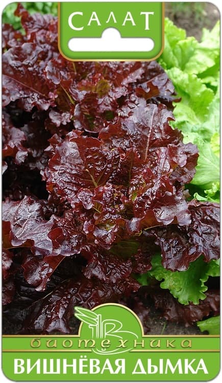 Фото – Салат Вишневая Дымка