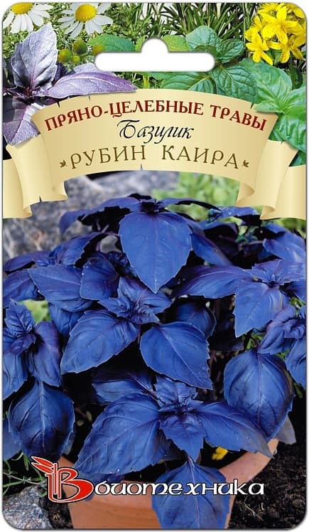 Фото – Базилик Рубин Каира