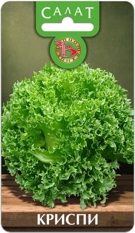 Фото – Салат Криспи