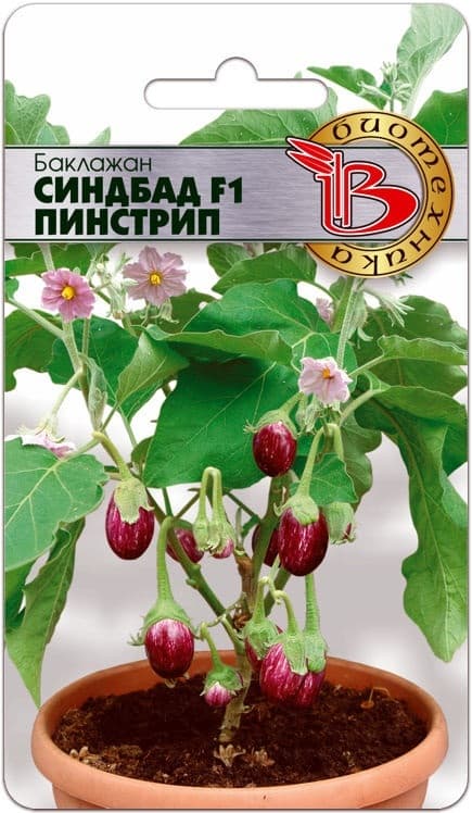 Фото – Баклажан Синдбад F1 Пинстрип