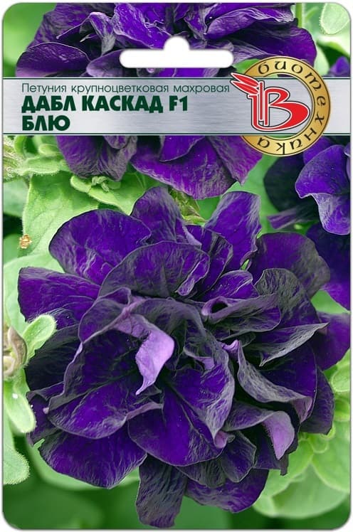 Фото – Петуния крупноцветковая махровая Дабл Каскад F1 Блю