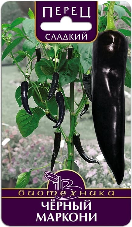 Фото – Перец сладкий Черный Маркони