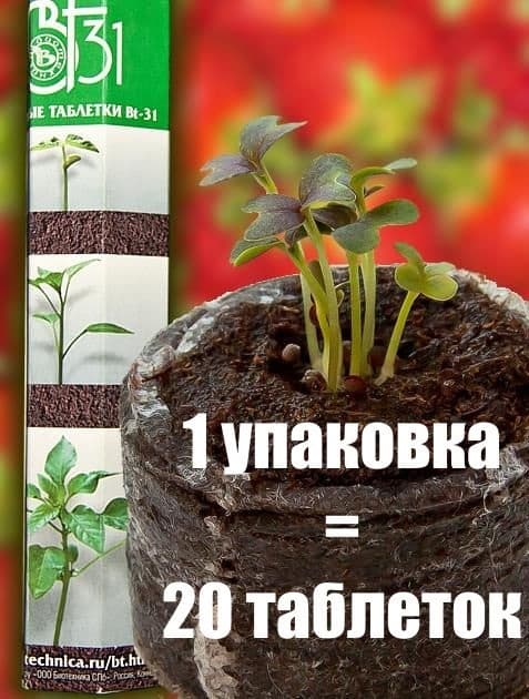 Фото – Торфяные таблетки Bt-31 (20 шт, диаметр 31 мм)