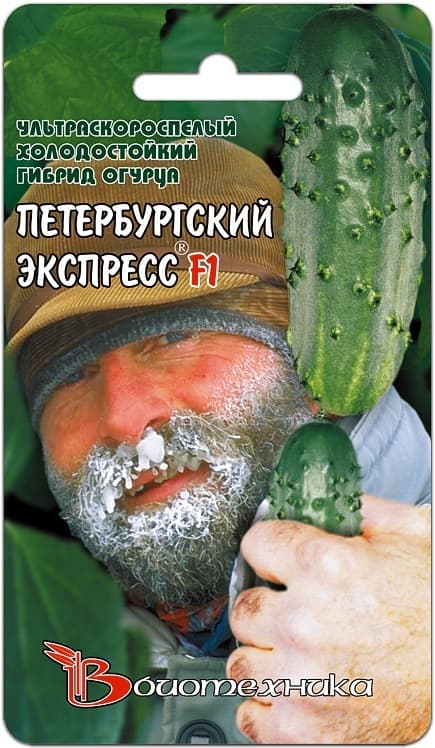 Фото – Огурец Петербургский Экспресс F1