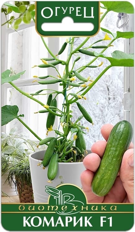 Фото – Огурец Комарик F1