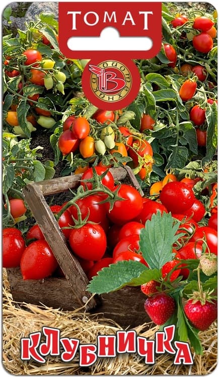 Фото – Томат Клубничка
