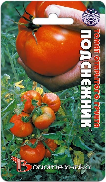 Фото – Томат Подснежник
