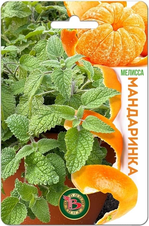 Фото – Мелисса Мандаринка