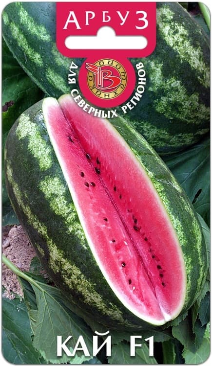 Фото – Арбуз Кай F1