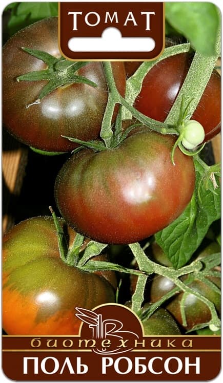Фото – Томат Поль Робсон