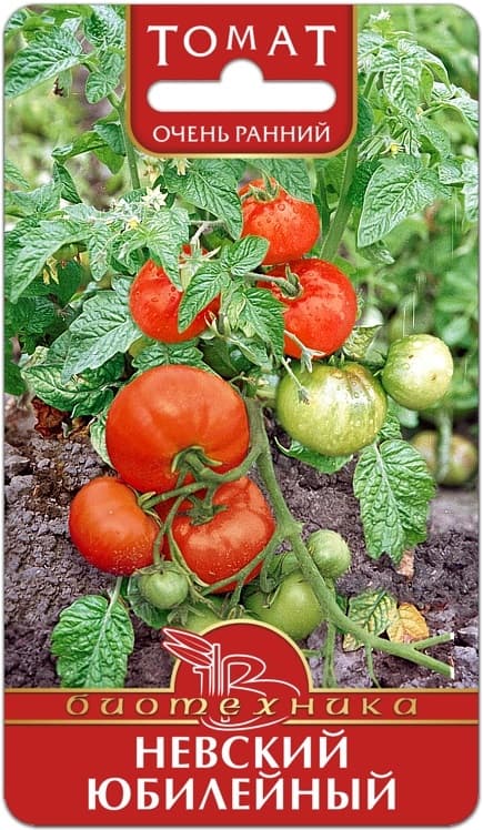 Фото – Томат Невский Юбилейный