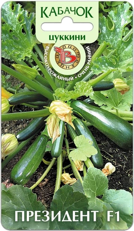 Фото – Кабачок Цуккини Президент F1