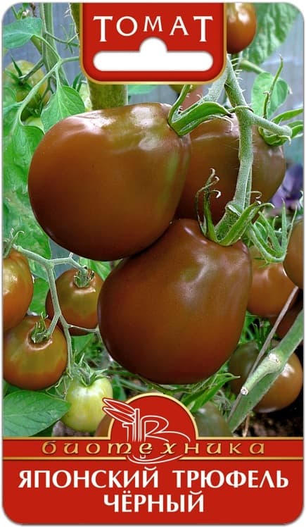Фото – Томат Японский Трюфель Черный