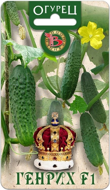 Фото – Огурец Генрих F1