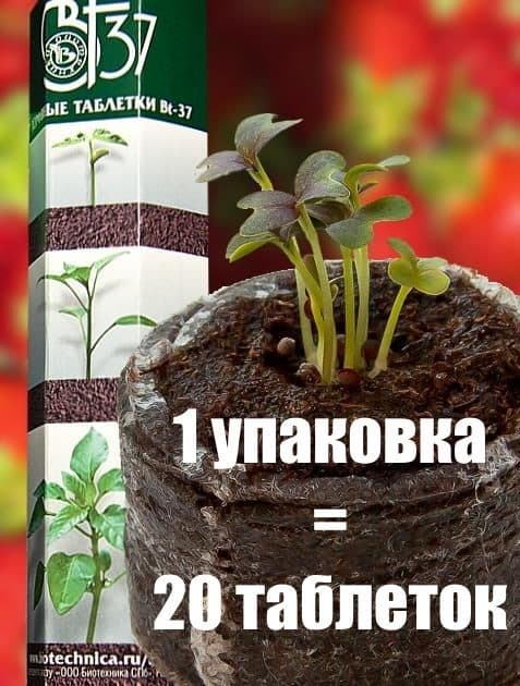 Фото – Торфяные таблетки Bt-37 (20 шт, диаметр 37 мм)
