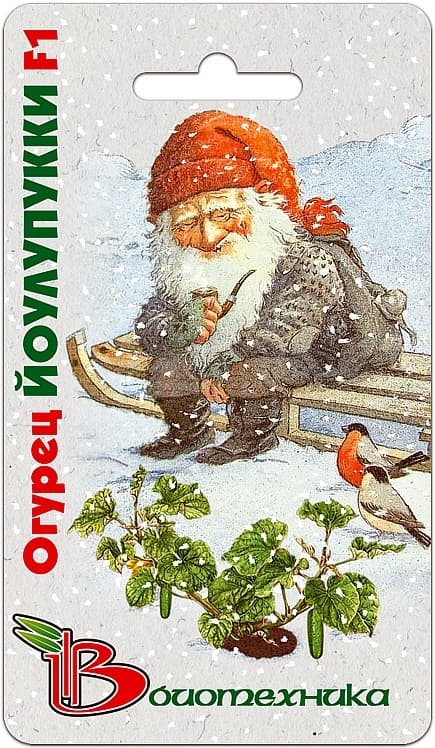 Фото – Огурец Йоулупукки F1