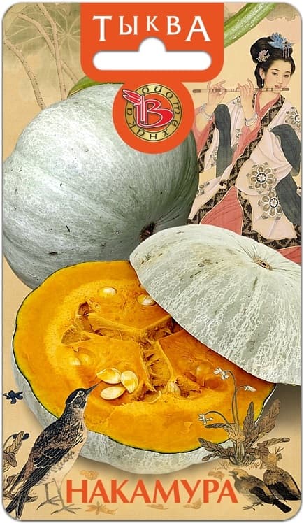 Фото – Тыква Накамура