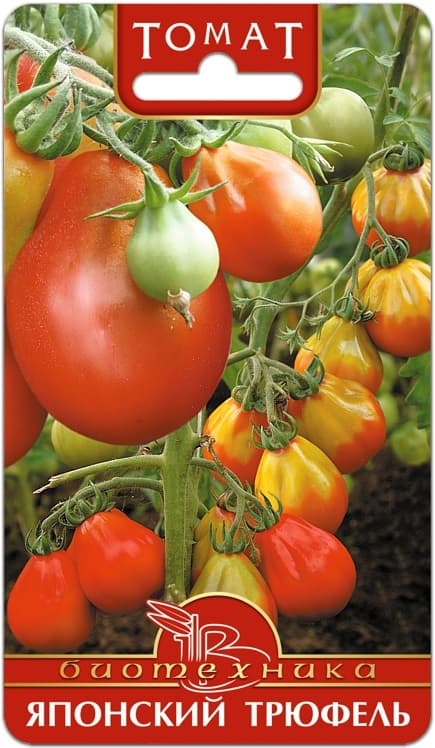Фото – Томат Японский Трюфель