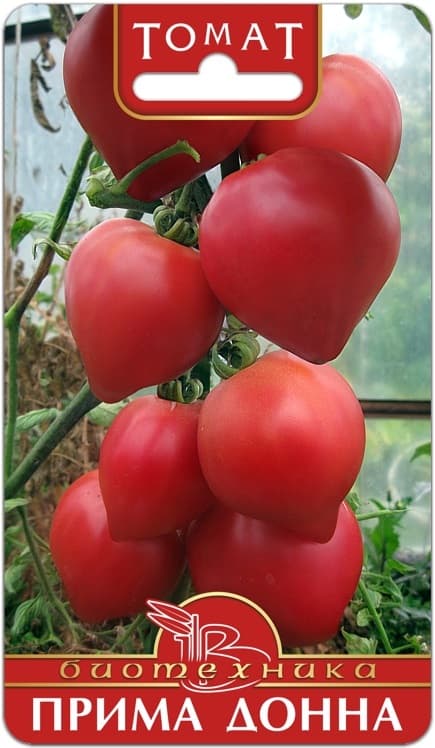 Фото – Томат Прима Донна F1