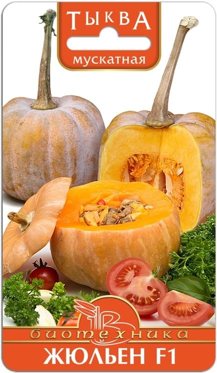 Фото – Тыква мускатная Жюльен F1