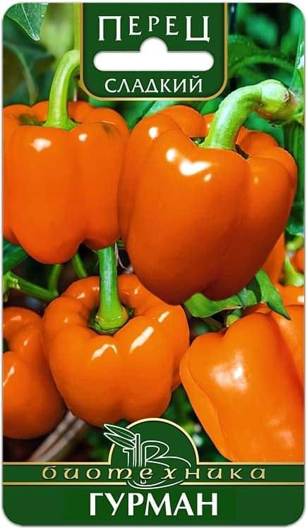 Фото – Перец сладкий Гурман