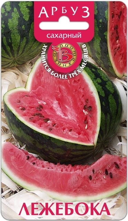 Фото – Арбуз Лежебока