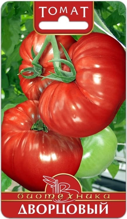 Фото – Томат Дворцовый