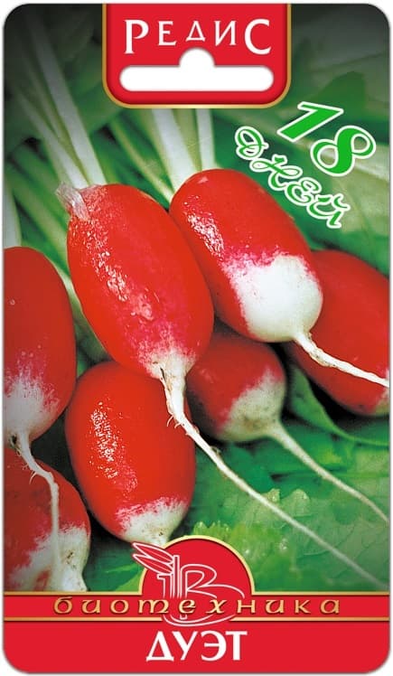 Фото – Редис Дуэт