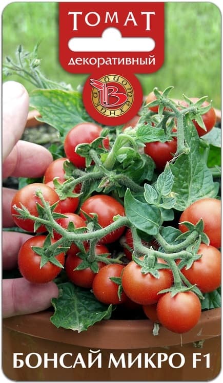 Фото – Томат декоративный Бонсай Микро F1